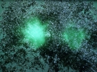Filename=ariane179254_StarTrek_1x17_TheSquireOfGothos_3087.jpg
Filesize=294KiB
Dimensions=1440x1080
Date added=Aug 30, 2015 ariane179254_StarTrek_1x17_TheSquireOfGothos_3087.jpg