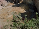 Filename=ariane179254_StarTrek_1x18_Arena_2318.jpg
Filesize=230KiB
Dimensions=1440x1080
Date added=Aug 31, 2015 ariane179254_StarTrek_1x18_Arena_2318.jpg