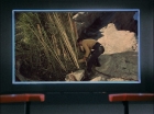 ariane179254_StarTrek_1x18_Arena_2617.jpg