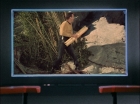 ariane179254_StarTrek_1x18_Arena_2623.jpg