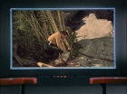 ariane179254_StarTrek_1x18_Arena_2637.jpg