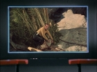 ariane179254_StarTrek_1x18_Arena_2641.jpg