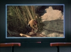 ariane179254_StarTrek_1x18_Arena_2648.jpg