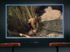 ariane179254_StarTrek_1x18_Arena_2649.jpg