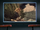 ariane179254_StarTrek_1x18_Arena_2652.jpg