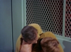 Filename=ariane179254_StarTrek_1x20_CourtMartial_2988.jpg
Filesize=131KiB
Dimensions=1440x1080
Date added=Aug 31, 2015 ariane179254_StarTrek_1x20_CourtMartial_2988.jpg