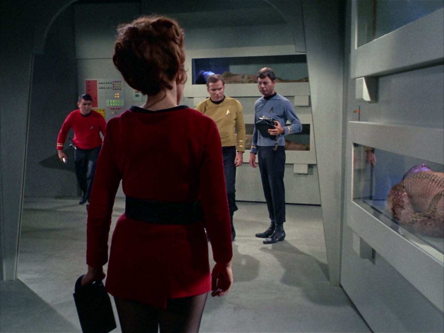 ariane179254_StarTrek_1x22_SpaceSeed_0455.jpg