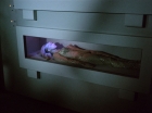 Filename=ariane179254_StarTrek_1x22_SpaceSeed_0368.jpg
Filesize=94KiB
Dimensions=1440x1080
Date added=Sep 12, 2015 ariane179254_StarTrek_1x22_SpaceSeed_0368.jpg