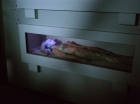 Filename=ariane179254_StarTrek_1x22_SpaceSeed_0373.jpg
Filesize=90KiB
Dimensions=1440x1080
Date added=Sep 12, 2015 ariane179254_StarTrek_1x22_SpaceSeed_0373.jpg