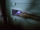 Filename=ariane179254_StarTrek_1x22_SpaceSeed_0374.jpg
Filesize=89KiB
Dimensions=1440x1080
Date added=Sep 12, 2015 ariane179254_StarTrek_1x22_SpaceSeed_0374.jpg