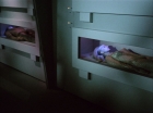 Filename=ariane179254_StarTrek_1x22_SpaceSeed_0375.jpg
Filesize=92KiB
Dimensions=1440x1080
Date added=Sep 12, 2015 ariane179254_StarTrek_1x22_SpaceSeed_0375.jpg