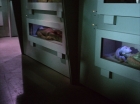 Filename=ariane179254_StarTrek_1x22_SpaceSeed_0376.jpg
Filesize=98KiB
Dimensions=1440x1080
Date added=Sep 12, 2015 ariane179254_StarTrek_1x22_SpaceSeed_0376.jpg
