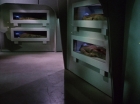 Filename=ariane179254_StarTrek_1x22_SpaceSeed_0378.jpg
Filesize=95KiB
Dimensions=1440x1080
Date added=Sep 12, 2015 ariane179254_StarTrek_1x22_SpaceSeed_0378.jpg