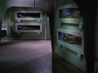 Filename=ariane179254_StarTrek_1x22_SpaceSeed_0379.jpg
Filesize=97KiB
Dimensions=1440x1080
Date added=Sep 12, 2015 ariane179254_StarTrek_1x22_SpaceSeed_0379.jpg
