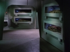 Filename=ariane179254_StarTrek_1x22_SpaceSeed_0380.jpg
Filesize=99KiB
Dimensions=1440x1080
Date added=Sep 12, 2015 ariane179254_StarTrek_1x22_SpaceSeed_0380.jpg