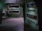 Filename=ariane179254_StarTrek_1x22_SpaceSeed_0382.jpg
Filesize=99KiB
Dimensions=1440x1080
Date added=Sep 12, 2015 ariane179254_StarTrek_1x22_SpaceSeed_0382.jpg