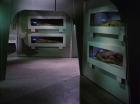 Filename=ariane179254_StarTrek_1x22_SpaceSeed_0383.jpg
Filesize=100KiB
Dimensions=1440x1080
Date added=Sep 12, 2015 ariane179254_StarTrek_1x22_SpaceSeed_0383.jpg