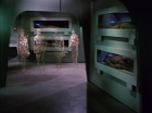 Filename=ariane179254_StarTrek_1x22_SpaceSeed_0385.jpg
Filesize=94KiB
Dimensions=1440x1080
Date added=Sep 12, 2015 ariane179254_StarTrek_1x22_SpaceSeed_0385.jpg