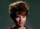 Filename=ariane179254_StarTrek_1x22_SpaceSeed_0462.jpg
Filesize=115KiB
Dimensions=1440x1080
Date added=Sep 12, 2015 ariane179254_StarTrek_1x22_SpaceSeed_0462.jpg
