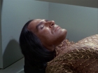 Filename=ariane179254_StarTrek_1x22_SpaceSeed_0463.jpg
Filesize=107KiB
Dimensions=1440x1080
Date added=Sep 12, 2015 ariane179254_StarTrek_1x22_SpaceSeed_0463.jpg