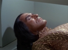 Filename=ariane179254_StarTrek_1x22_SpaceSeed_0465.jpg
Filesize=112KiB
Dimensions=1440x1080
Date added=Sep 12, 2015 ariane179254_StarTrek_1x22_SpaceSeed_0465.jpg