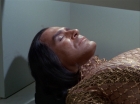 Filename=ariane179254_StarTrek_1x22_SpaceSeed_0506.jpg
Filesize=116KiB
Dimensions=1440x1080
Date added=Sep 12, 2015 ariane179254_StarTrek_1x22_SpaceSeed_0506.jpg