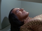 Filename=ariane179254_StarTrek_1x22_SpaceSeed_0507.jpg
Filesize=116KiB
Dimensions=1440x1080
Date added=Sep 12, 2015 ariane179254_StarTrek_1x22_SpaceSeed_0507.jpg