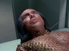 Filename=ariane179254_StarTrek_1x22_SpaceSeed_0592.jpg
Filesize=137KiB
Dimensions=1440x1080
Date added=Sep 12, 2015 ariane179254_StarTrek_1x22_SpaceSeed_0592.jpg