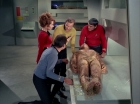 Filename=ariane179254_StarTrek_1x22_SpaceSeed_0617.jpg
Filesize=135KiB
Dimensions=1440x1080
Date added=Sep 12, 2015 ariane179254_StarTrek_1x22_SpaceSeed_0617.jpg