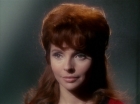 Filename=ariane179254_StarTrek_1x22_SpaceSeed_1859.jpg
Filesize=95KiB
Dimensions=1440x1080
Date added=Sep 12, 2015 ariane179254_StarTrek_1x22_SpaceSeed_1859.jpg
