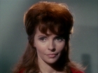 Filename=ariane179254_StarTrek_1x22_SpaceSeed_1913.jpg
Filesize=88KiB
Dimensions=1440x1080
Date added=Sep 12, 2015 ariane179254_StarTrek_1x22_SpaceSeed_1913.jpg