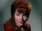 Filename=ariane179254_StarTrek_1x22_SpaceSeed_1975.jpg
Filesize=95KiB
Dimensions=1440x1080
Date added=Sep 12, 2015 ariane179254_StarTrek_1x22_SpaceSeed_1975.jpg