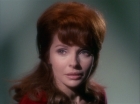 Filename=ariane179254_StarTrek_1x22_SpaceSeed_1977.jpg
Filesize=93KiB
Dimensions=1440x1080
Date added=Sep 12, 2015 ariane179254_StarTrek_1x22_SpaceSeed_1977.jpg