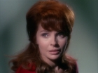 Filename=ariane179254_StarTrek_1x22_SpaceSeed_1982.jpg
Filesize=85KiB
Dimensions=1440x1080
Date added=Sep 12, 2015 ariane179254_StarTrek_1x22_SpaceSeed_1982.jpg