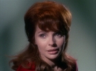 Filename=ariane179254_StarTrek_1x22_SpaceSeed_1983.jpg
Filesize=86KiB
Dimensions=1440x1080
Date added=Sep 12, 2015 ariane179254_StarTrek_1x22_SpaceSeed_1983.jpg