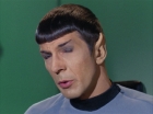Filename=ariane179254_StarTrek_1x22_SpaceSeed_2028.jpg
Filesize=106KiB
Dimensions=1440x1080
Date added=Sep 12, 2015 ariane179254_StarTrek_1x22_SpaceSeed_2028.jpg