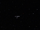 Filename=ariane179254_StarTrek_1x22_SpaceSeed-NewEffects_1030.jpg
Filesize=96KiB
Dimensions=1440x1080
Date added=Jan 17, 2012 ariane179254_StarTrek_1x22_SpaceSeed-NewEffects_1030.jpg