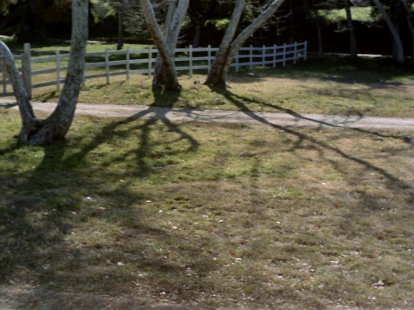 ariane179254_StarTrek_1x24_ThisSideOfParadise_0103.jpg