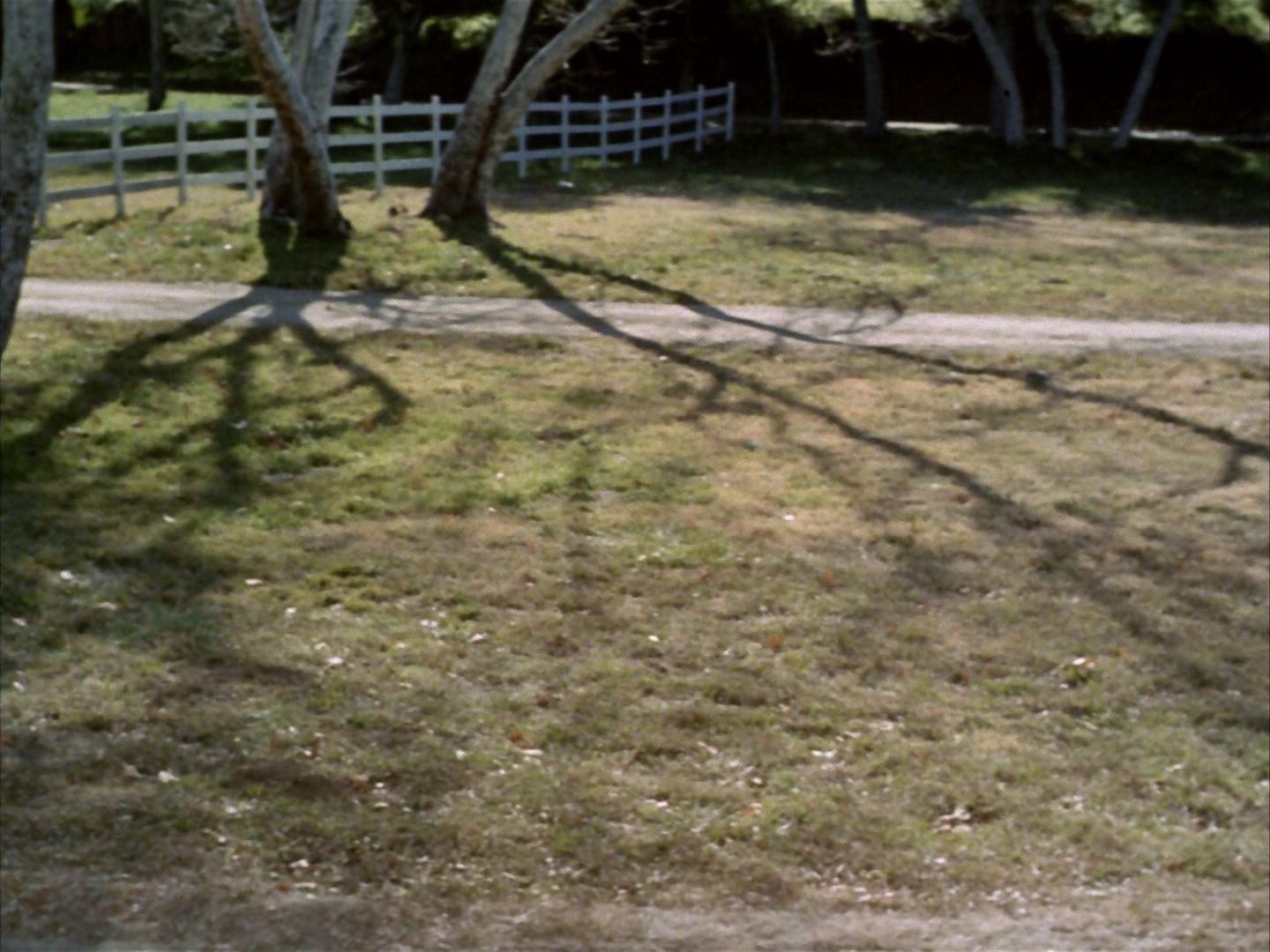 ariane179254_StarTrek_1x24_ThisSideOfParadise_0104.jpg