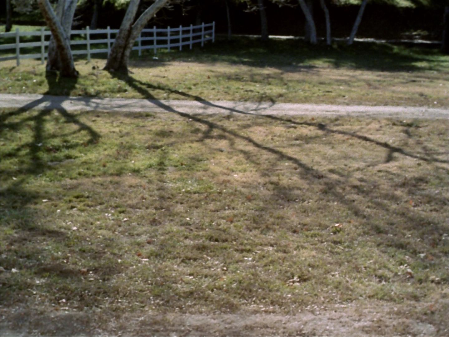 ariane179254_StarTrek_1x24_ThisSideOfParadise_0105.jpg