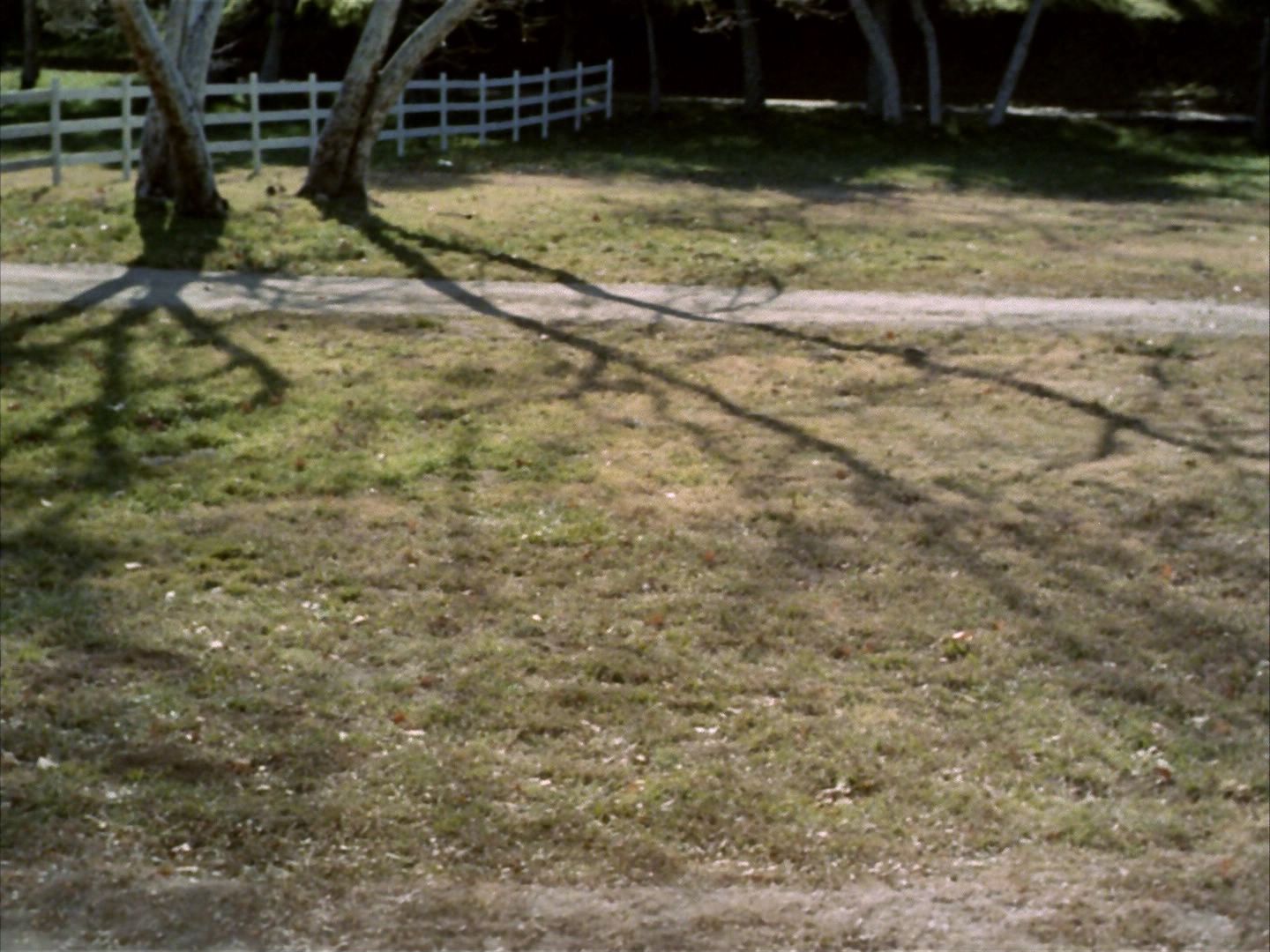 ariane179254_StarTrek_1x24_ThisSideOfParadise_0106.jpg