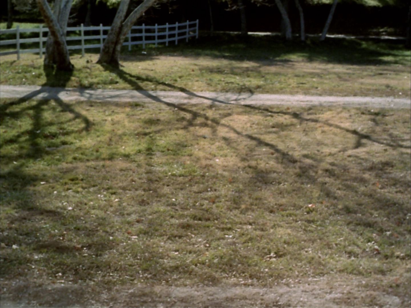 ariane179254_StarTrek_1x24_ThisSideOfParadise_0107.jpg