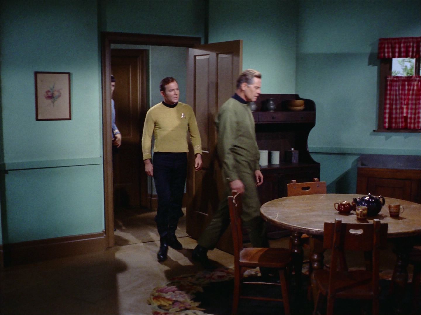 ariane179254_StarTrek_1x24_ThisSideOfParadise_0364.jpg