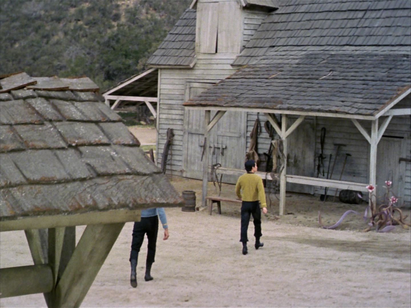 ariane179254_StarTrek_1x24_ThisSideOfParadise_0467.jpg