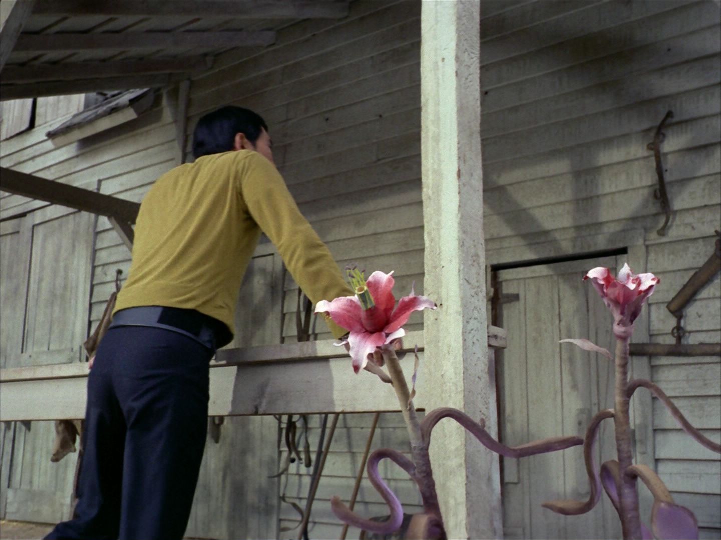 ariane179254_StarTrek_1x24_ThisSideOfParadise_0472.jpg