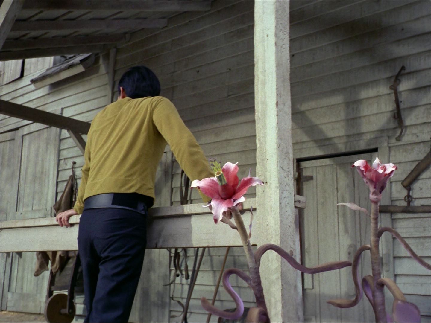 ariane179254_StarTrek_1x24_ThisSideOfParadise_0474.jpg
