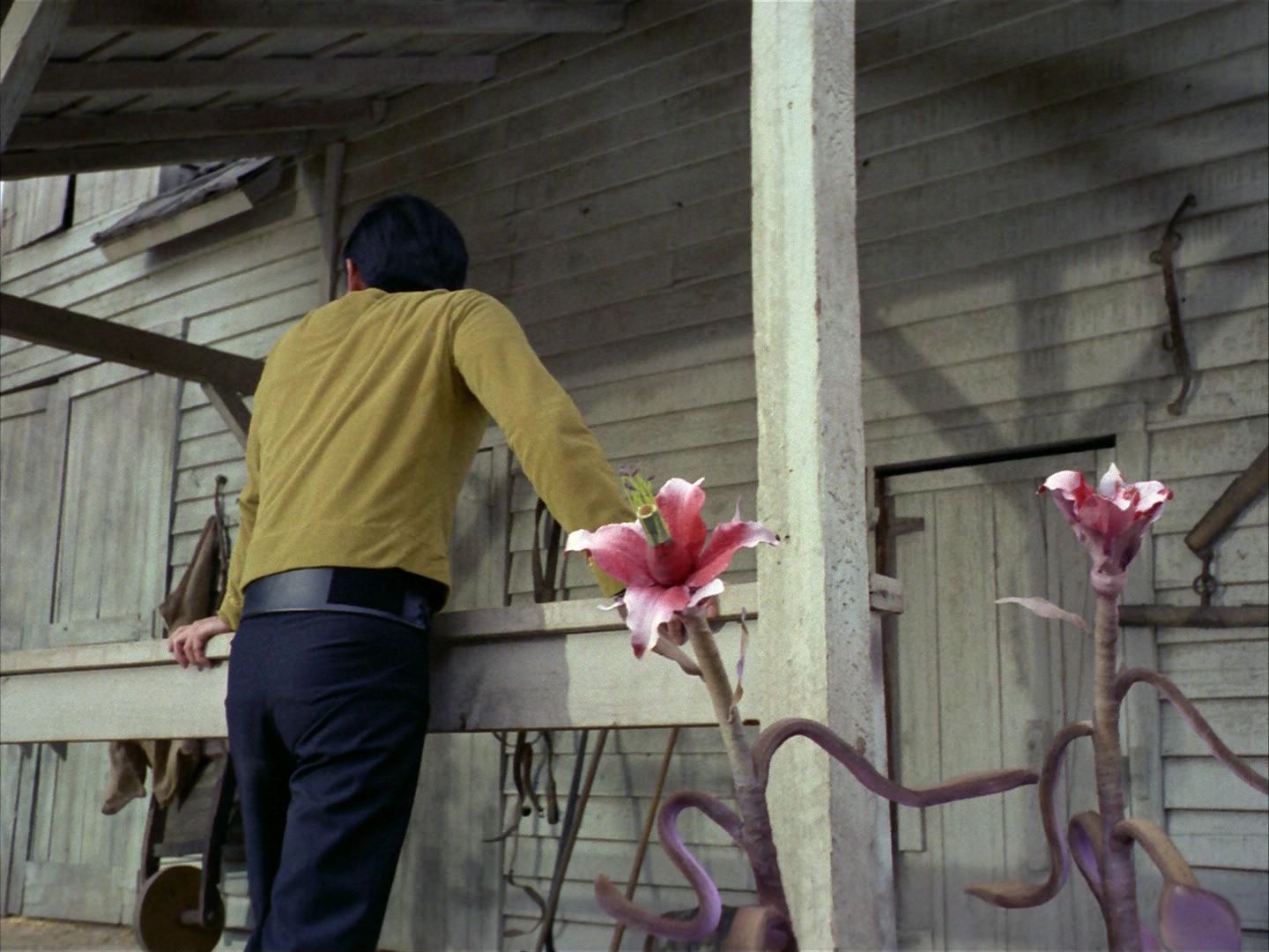 ariane179254_StarTrek_1x24_ThisSideOfParadise_0475.jpg