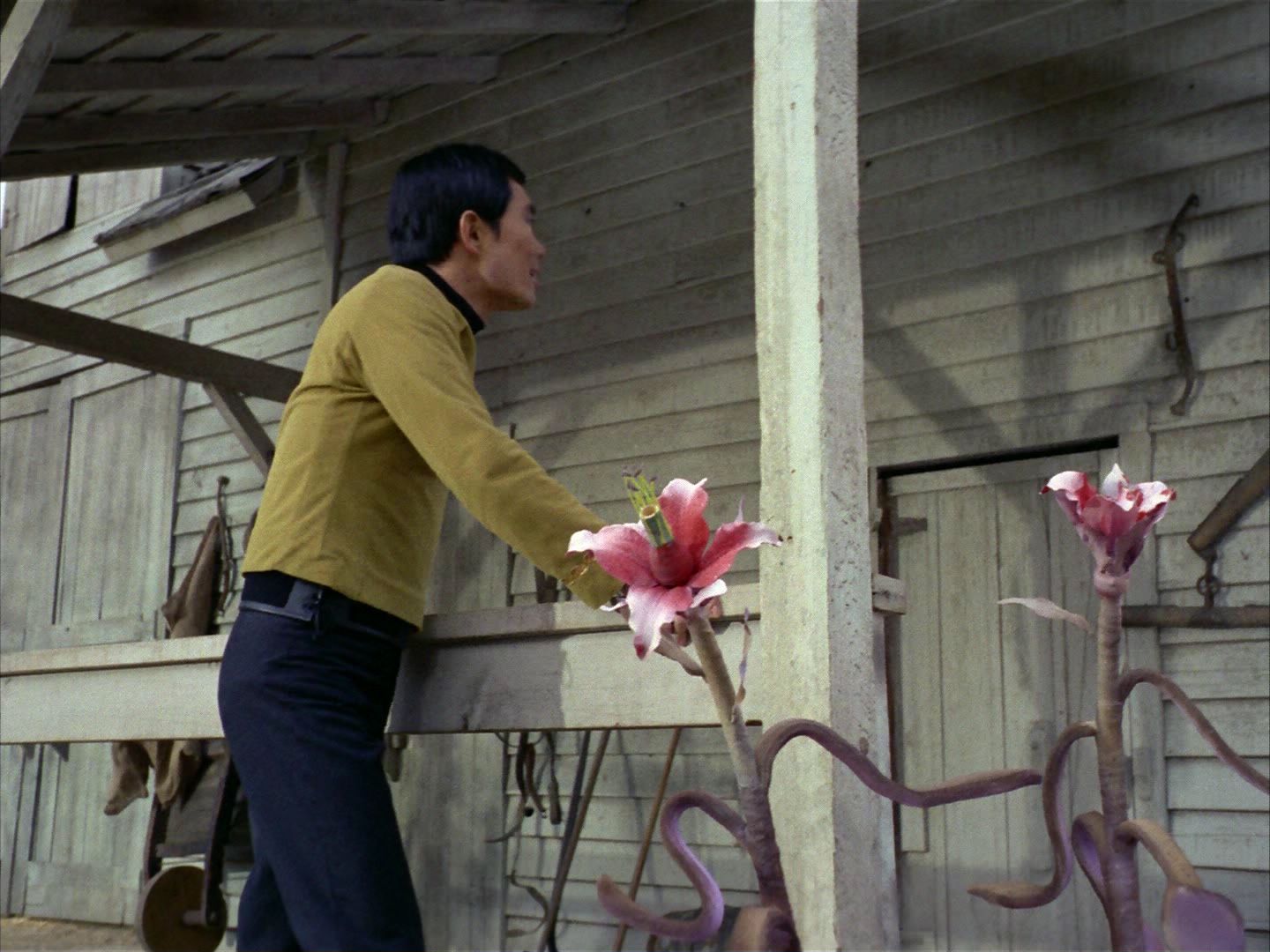 ariane179254_StarTrek_1x24_ThisSideOfParadise_0476.jpg