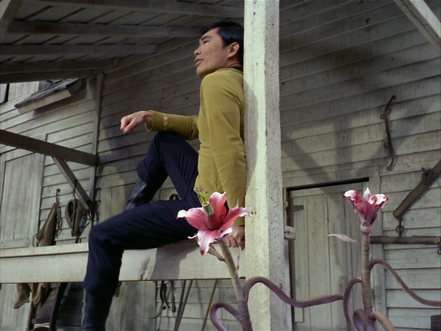 ariane179254_StarTrek_1x24_ThisSideOfParadise_0480.jpg