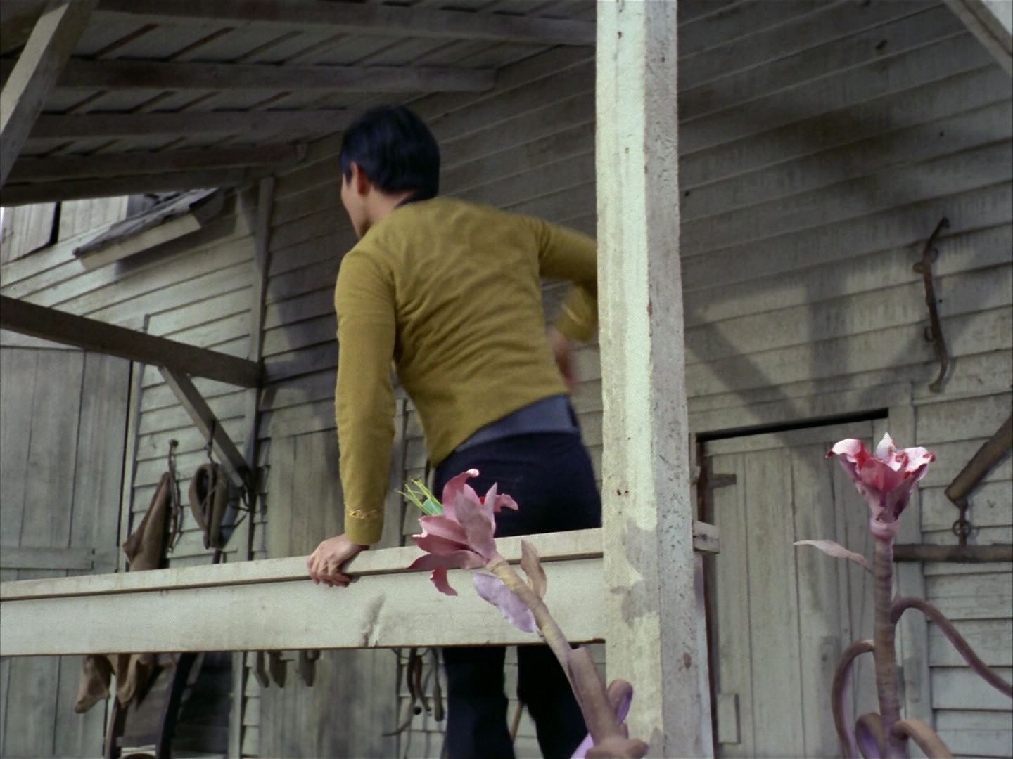 ariane179254_StarTrek_1x24_ThisSideOfParadise_0492.jpg